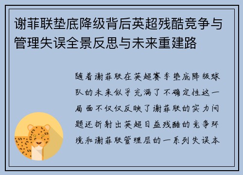 谢菲联垫底降级背后英超残酷竞争与管理失误全景反思与未来重建路 谢菲联垫底降级背后英超残酷竞争与管理失误全景反思与未来重建路