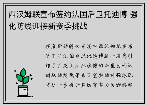 西汉姆联宣布签约法国后卫托迪博 强化防线迎接新赛季挑战
