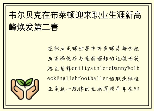 韦尔贝克在布莱顿迎来职业生涯新高峰焕发第二春
